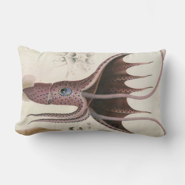 Cojín Lumbar Náutico/vida marina/almohada del Lumbar del (Anverso)