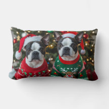 Navidades de Boston Terrier