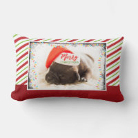 Navidades se pug en Santa Hat con luces Navidades