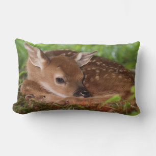 Cojín Lumbar Niño de ciervo de cola blanca de dos días, Kentuck