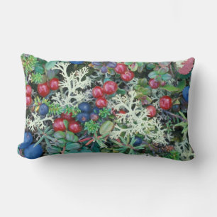 Cojín Lumbar Norteamérica, Estados Unidos, Alaska, Paisaje, ba