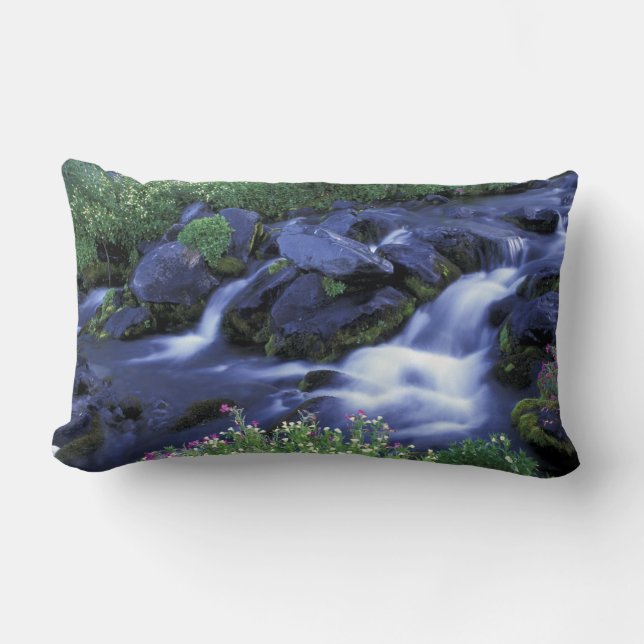 Cojín Lumbar Norteamérica, Estados Unidos, Washington, Monte Ra (Anverso)