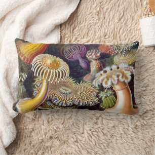 Cojín Lumbar Océano marino Anemone Científico