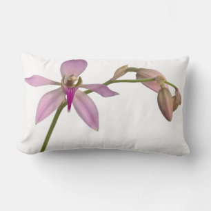 Cojín Lumbar Orquídea Púrpura Lavendar