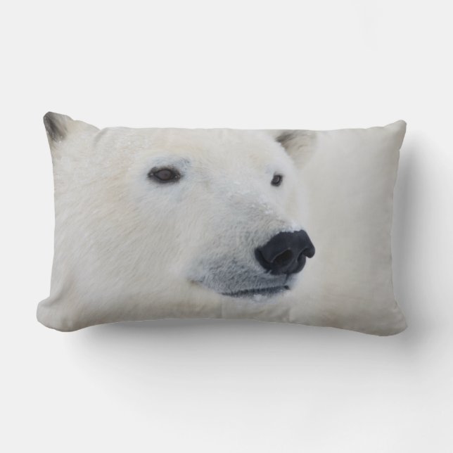 Cojín Lumbar Oso Polar Churchill (Anverso)