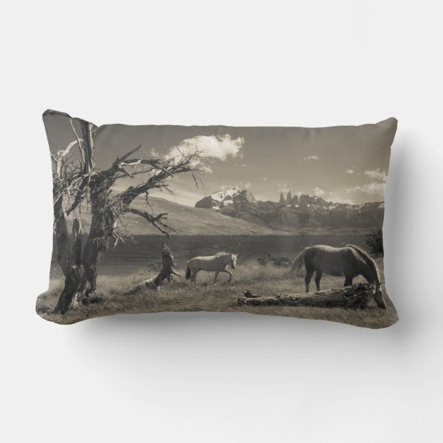Cojín Lumbar Paisaje con caballos (Anverso)