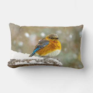 Cojín Lumbar Pájaro azul oriental en nieve - Fotografía origina