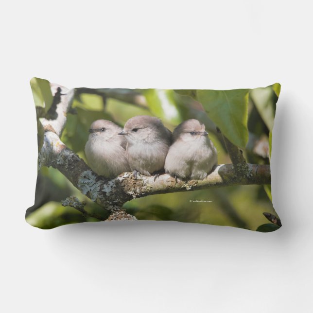 Cojín Lumbar Pájaros de caza lindo bebé en el árbol de peras (Anverso)
