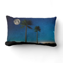 Palmeras en la noche