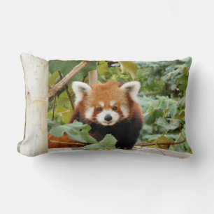 Cojín Lumbar Panda rojo