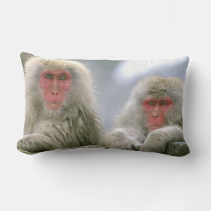 Cojín Lumbar Pareja de monos de nieve, macaco japonés,