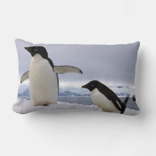 Cojín Lumbar Pareja de pingüinos Adelie Antártida