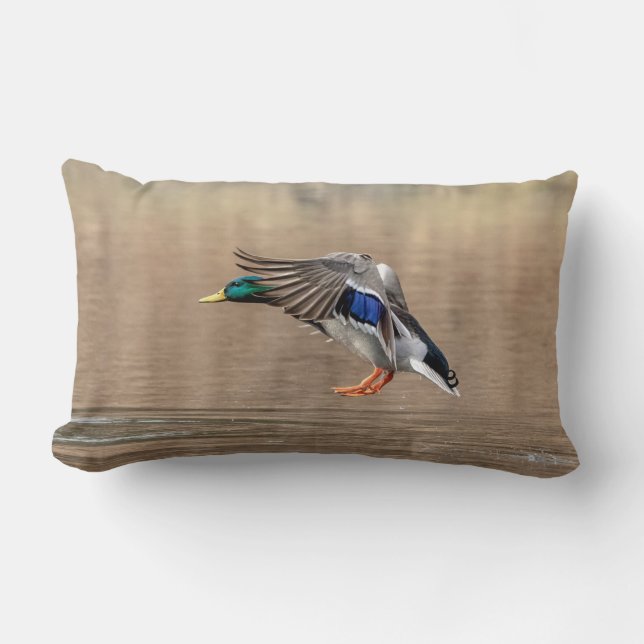 Cojín Lumbar Pato Mallard en vuelo (Anverso)