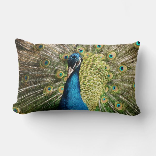 Cojín Lumbar pavo real (Anverso)