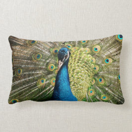 Cojín Lumbar pavo real