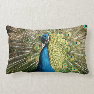 Cojín Lumbar pavo real