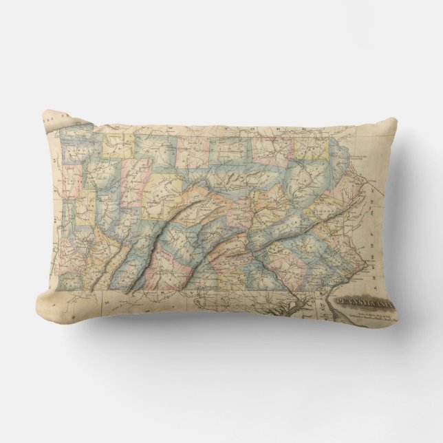 Cojín Lumbar Pennsylvania 8 (Anverso)