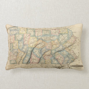 Cojín Lumbar Pennsylvania 8