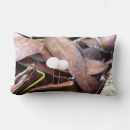 Cojín Lumbar Pequeños hongos en un