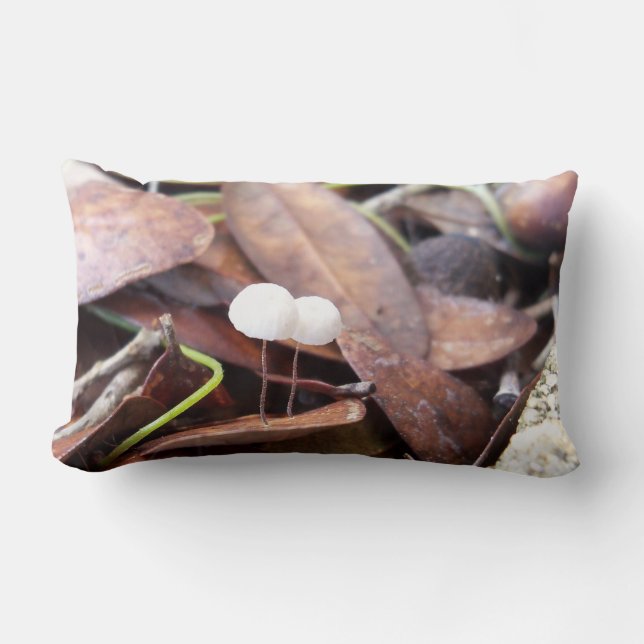 Cojín Lumbar Pequeños hongos en un (Anverso)