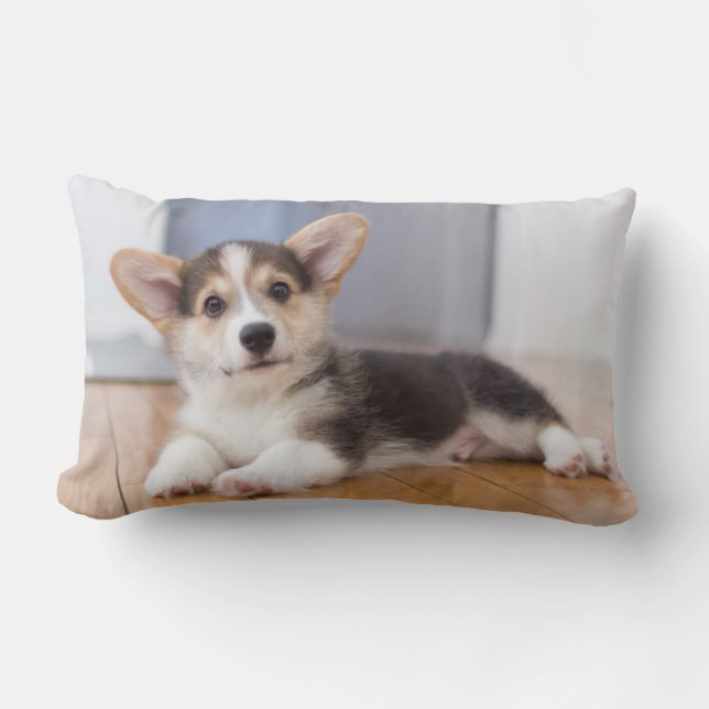 Cojín Lumbar Perrito del Corgi Galés del Pembroke (Anverso)