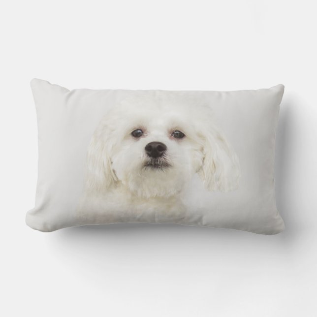 Cojín Lumbar Perrito maltés (Anverso)