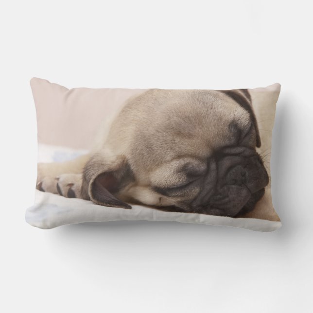 Cojín Lumbar Perrito que duerme a fondo (Anverso)