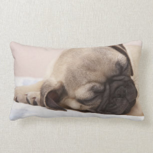 Cojín Lumbar Perrito que duerme a fondo