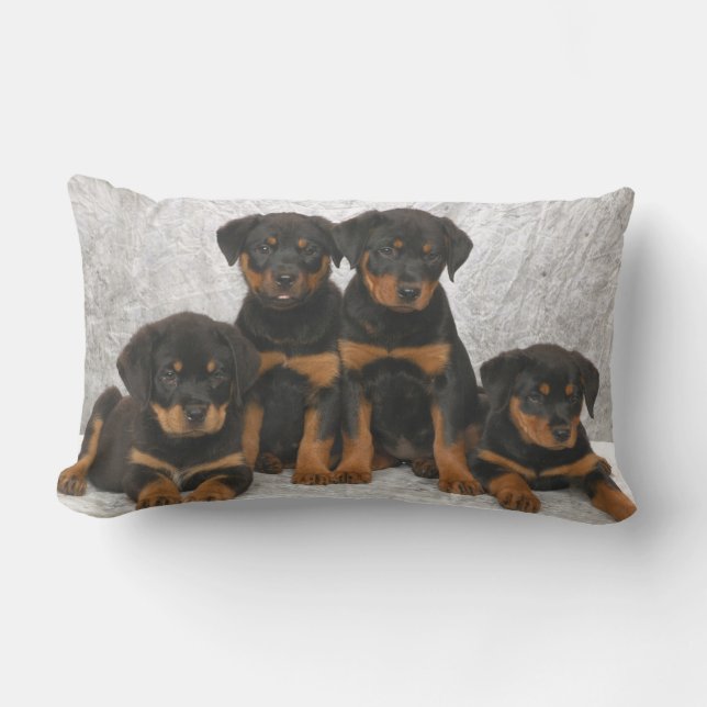 Cojín Lumbar Perritos de Rottweiler (Anverso)