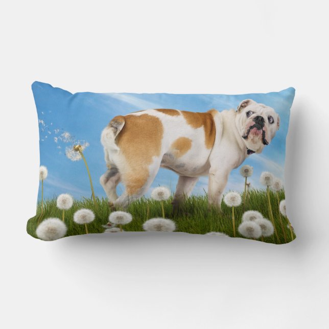 Cojín Lumbar Perro con Dandelion (Anverso)