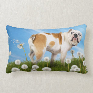 Cojín Lumbar Perro con Dandelion
