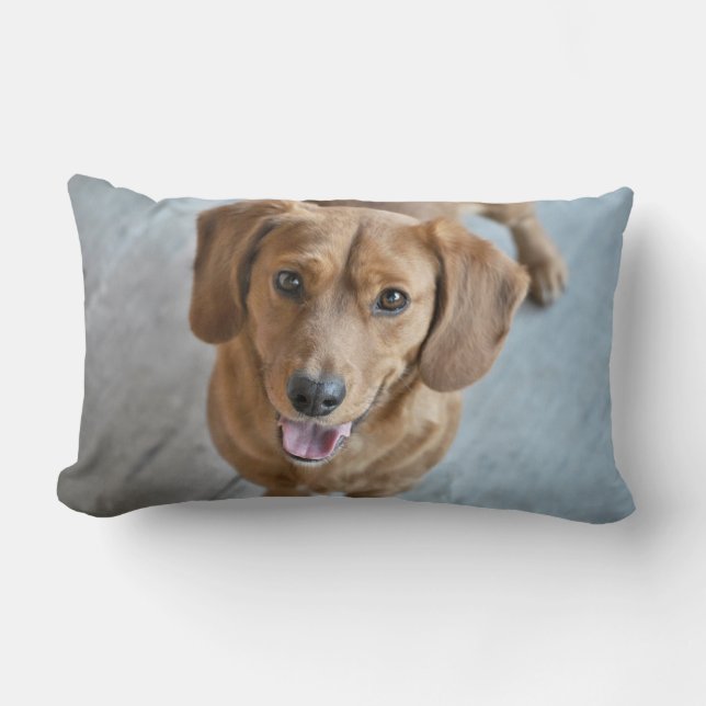 Cojín Lumbar Perro Cute (Anverso)