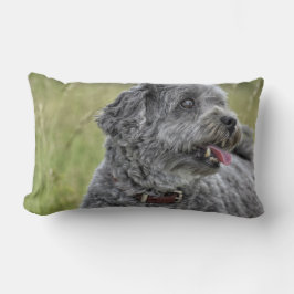 Cojín Lumbar Perro Cute Terrier