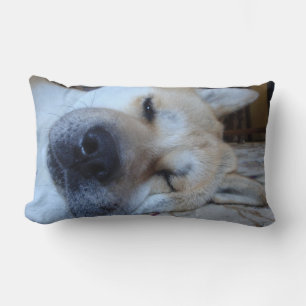 Cojín Lumbar Perro kakita lindo durmiendo con expresión gracios