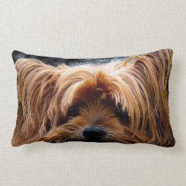 Cojín Lumbar Perro lindo de Yorkshire Terrier