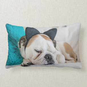 Cojín Lumbar Perro soñoliento de las imágenes el   de Getty c