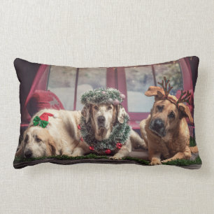 Cojín Lumbar Perros de fotos divertidos en pañales de Navidad 