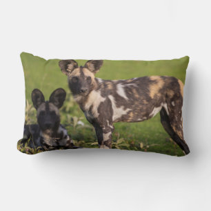 Cojín Lumbar Perros salvajes africanos en Tanzania