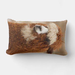 Cojín Lumbar Personalizado de la Alpaca marrón