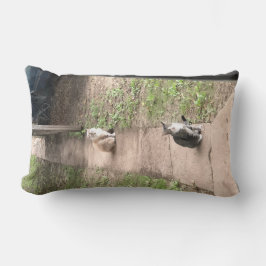 Cojín Lumbar Pilar de gato