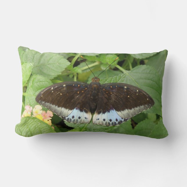 Cojín Lumbar Pilar de mariposa tropical bonito (Anverso)