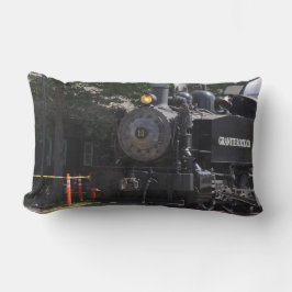 Cojín Lumbar Pilar del tren