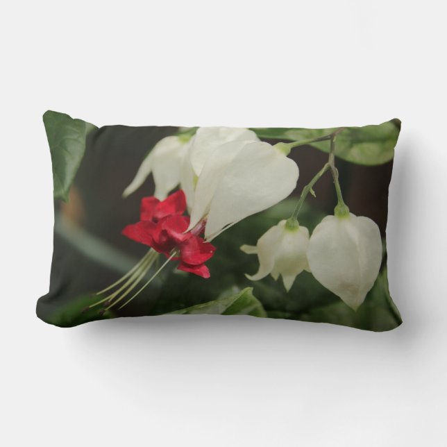 Cojín Lumbar Pilar lumbar de la flor del corazón sangrante (Anverso)