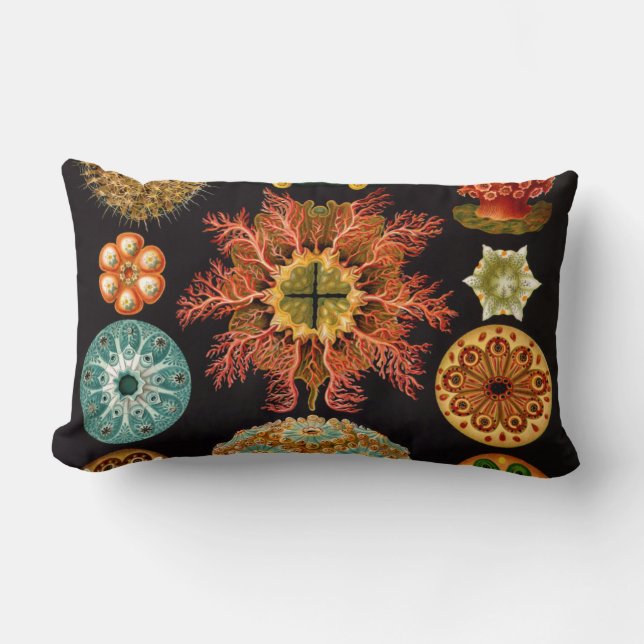 Cojín Lumbar Pilar lumbar de la plaza de la ardilla marina (Anverso)