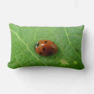 Cojín Lumbar Pillow