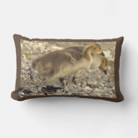 Pillow de foto georgiana del bebé
