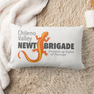 Cojín Lumbar Pillow de la Brigada Newt de Chileno Valley