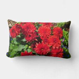 Cojín Lumbar Pillow de la flor de Dahlia roja