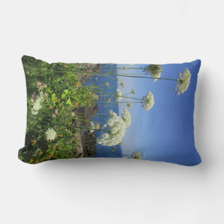 Cojín Lumbar Pillow de la Reina Anne Lumbar
