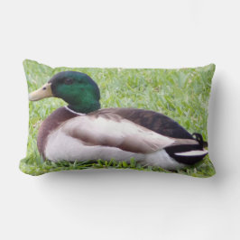 Cojín Lumbar Pillow del pato